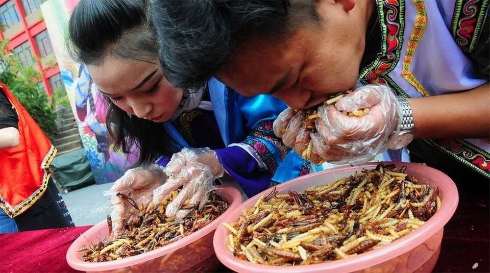 【中国の懲罰料理】中国の変わった料理や調理法を教えてあげますwww