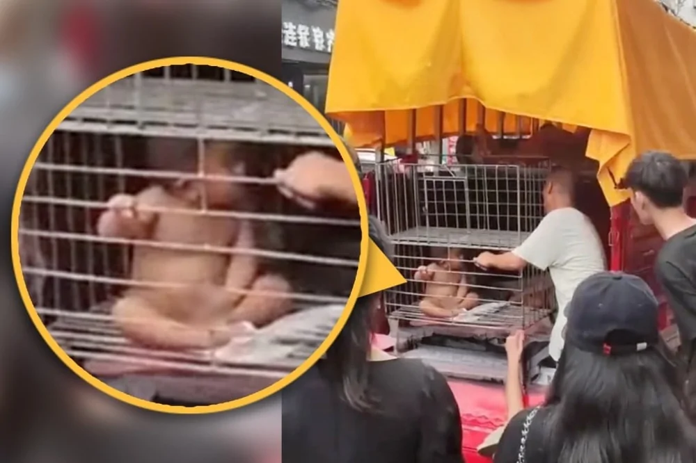 【非常識！？】中国人の父親は、安全のため裸の赤ちゃんをケージに入れる？