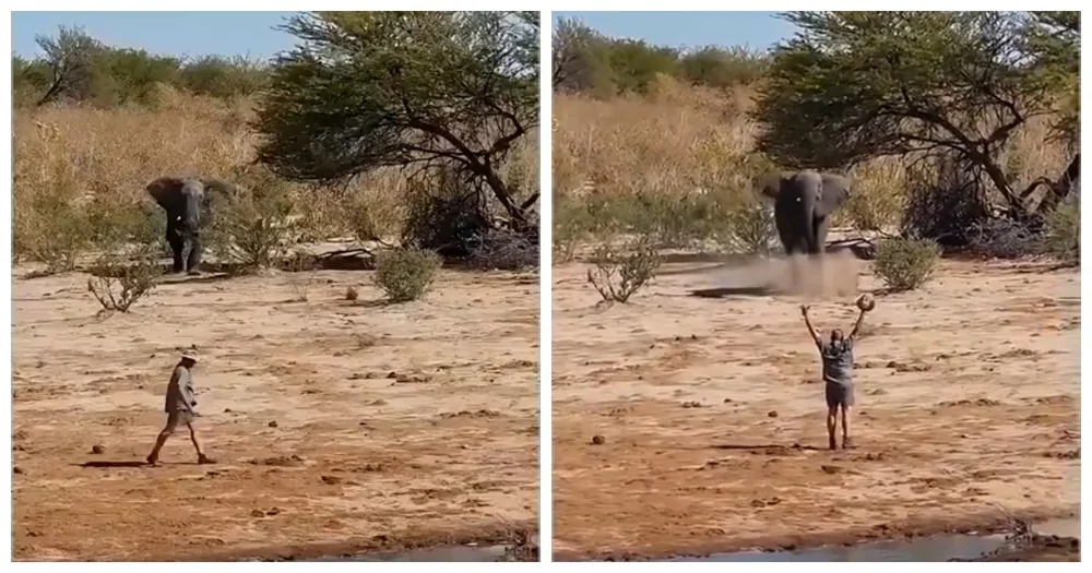 【危険行動】ある男性が突進してくる象を予想外の行動で止めた・・・！！