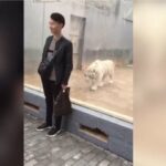中国の動物園