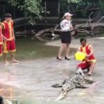 中国の演者
