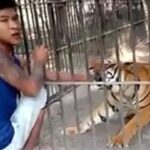 中国の檻